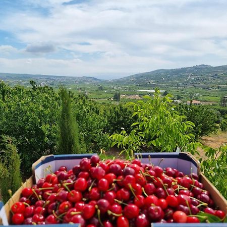 Oriental Nature مجدل شمس المظهر الخارجي الصورة