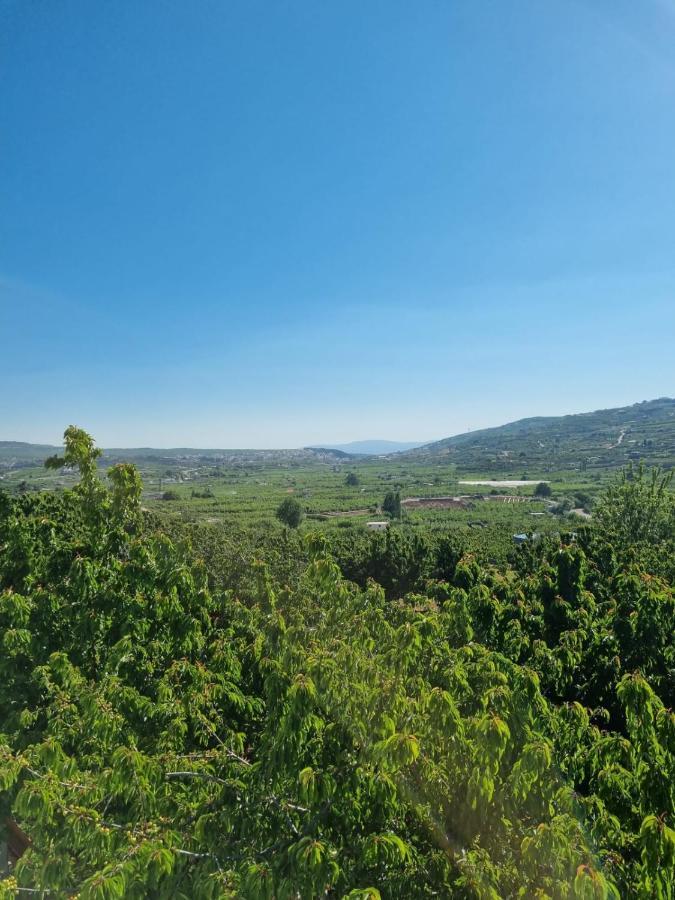 Oriental Nature مجدل شمس المظهر الخارجي الصورة