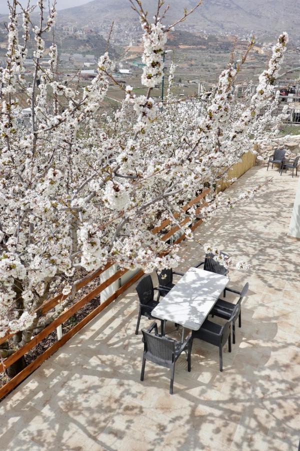 Oriental Nature مجدل شمس المظهر الخارجي الصورة