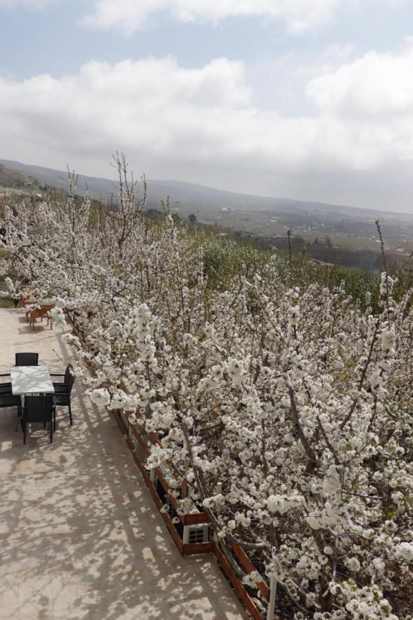 Oriental Nature مجدل شمس المظهر الخارجي الصورة